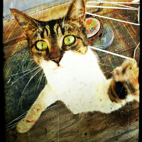 Meet your Posher, Mike - Picture 1 of 1